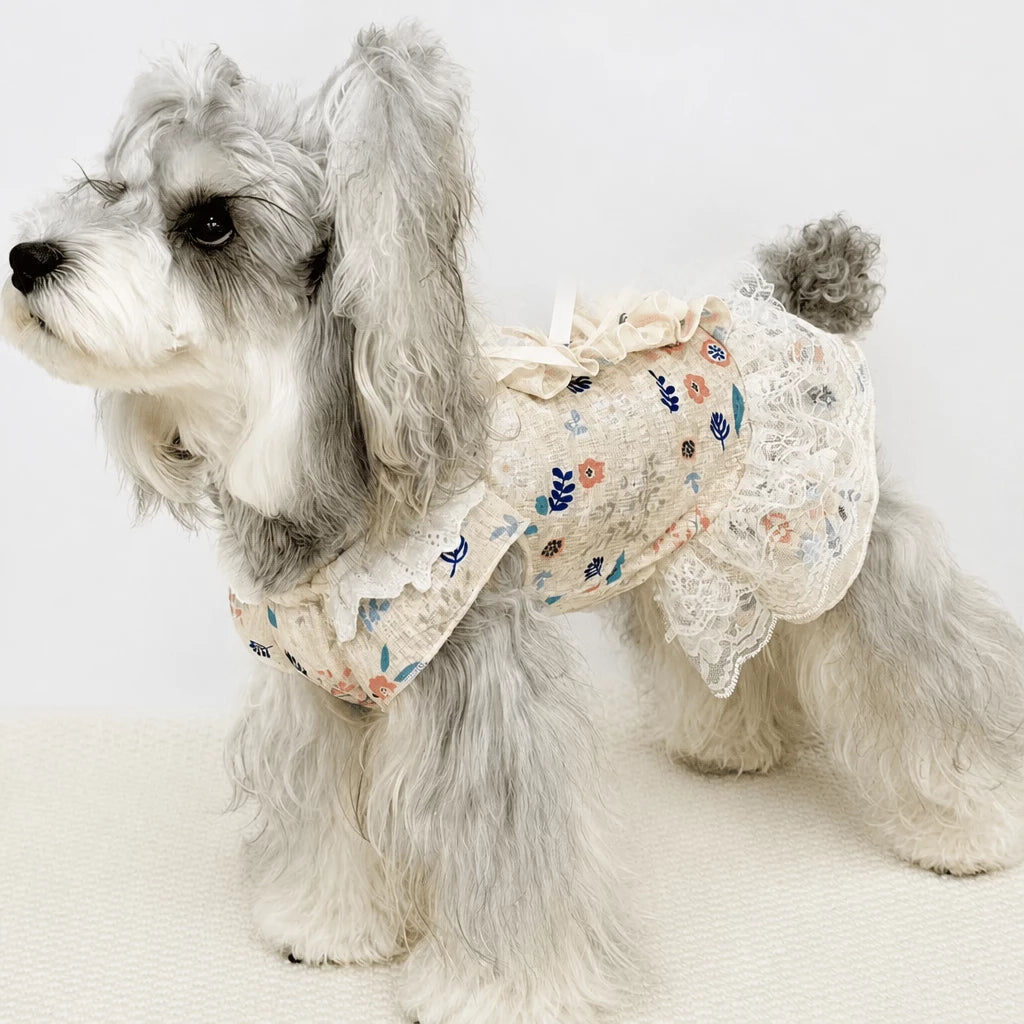Lightweight Lace Pet Clothing with Bow and Ruffle Trim