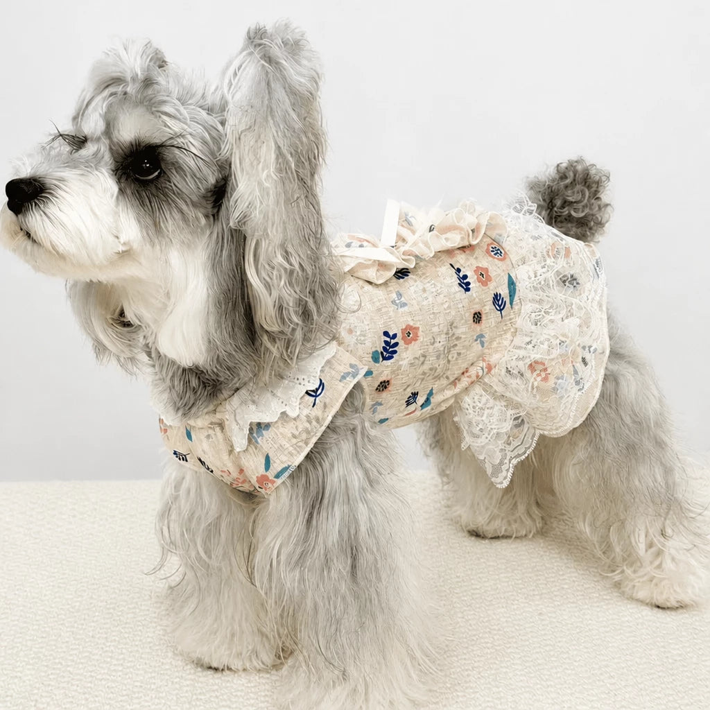 Lightweight Lace Pet Clothing with Bow and Ruffle Trim