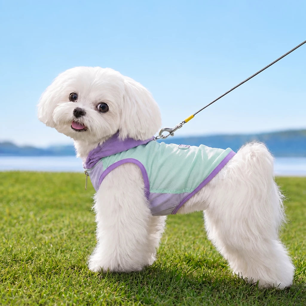 Summer Pet Shirt for Small Dogs