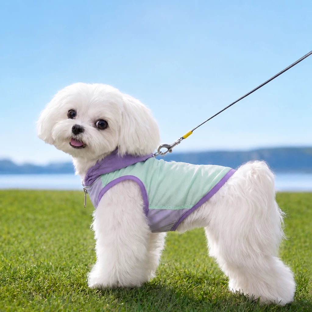 Summer Pet Shirt for Small Dogs