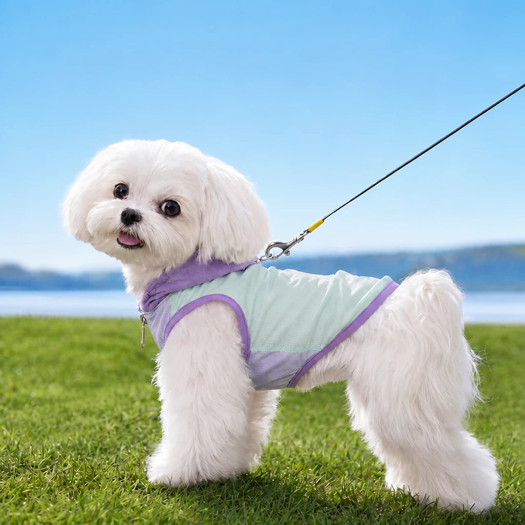 Summer Pet Shirt for Small Dogs