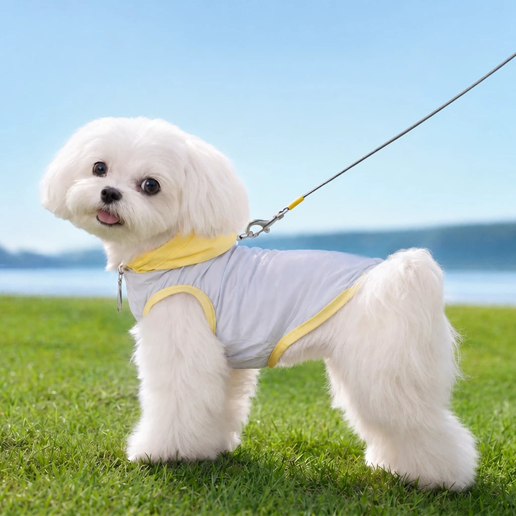 Summer Pet Shirt for Small Dogs