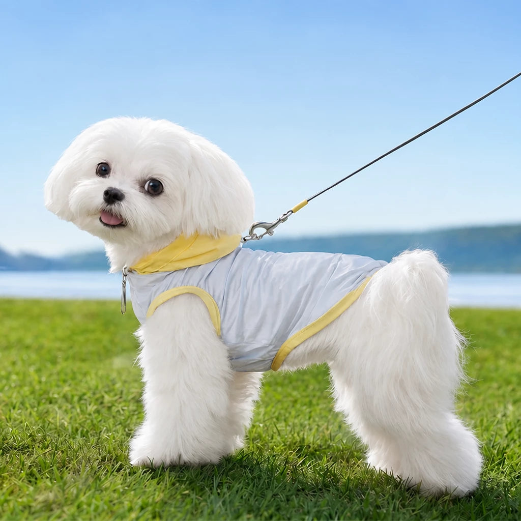 Summer Pet Shirt for Small Dogs