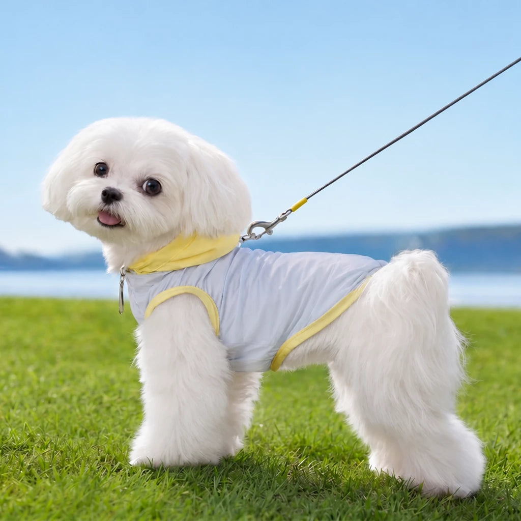 Summer Pet Shirt for Small Dogs