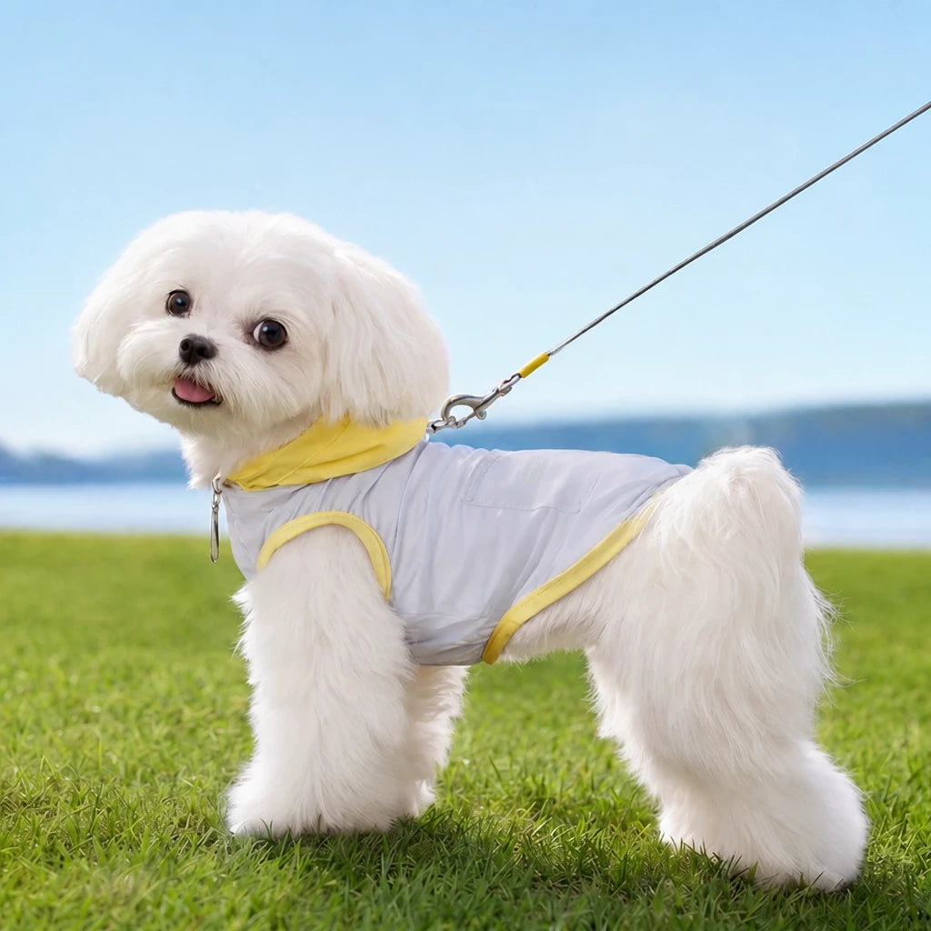 Summer Pet Shirt for Small Dogs