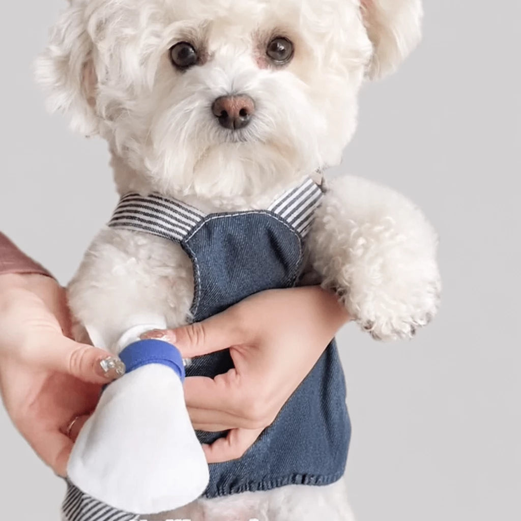 Disposable Waterproof Dog Paw Covers