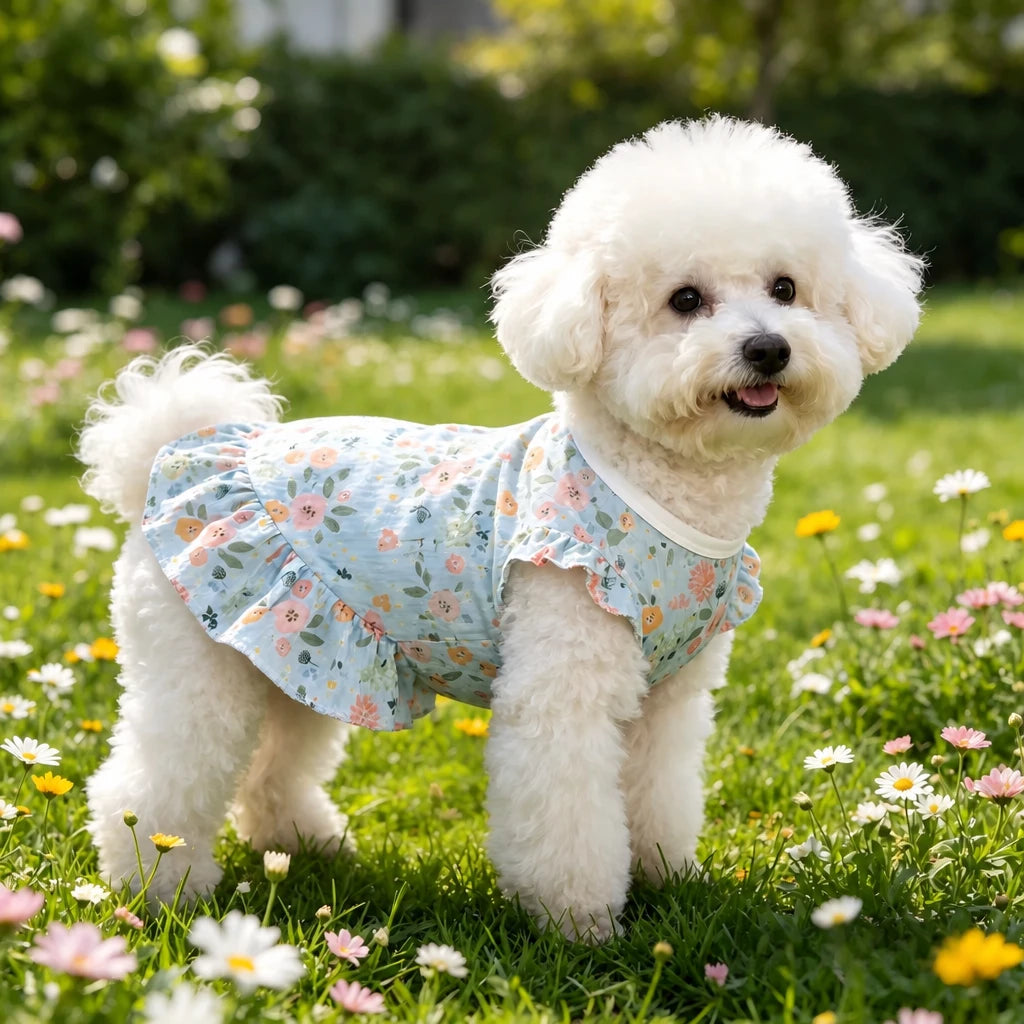 Mesh Pet Dress for Dogs and Cats