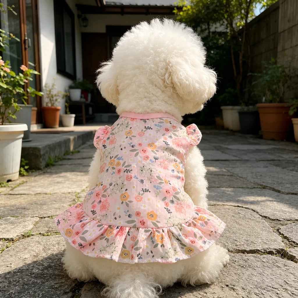 Mesh Pet Dress for Dogs and Cats