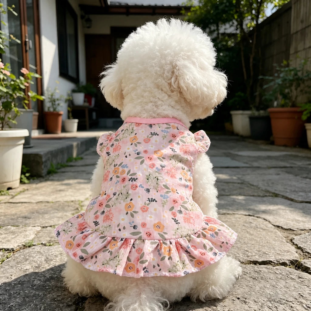 Mesh Pet Dress for Dogs and Cats