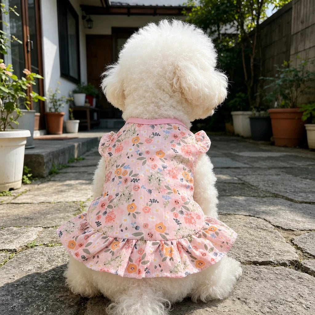 Mesh Pet Dress for Dogs and Cats