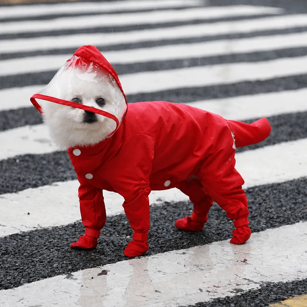 Four-Leg Waterproof Raincoat for Small Dogs