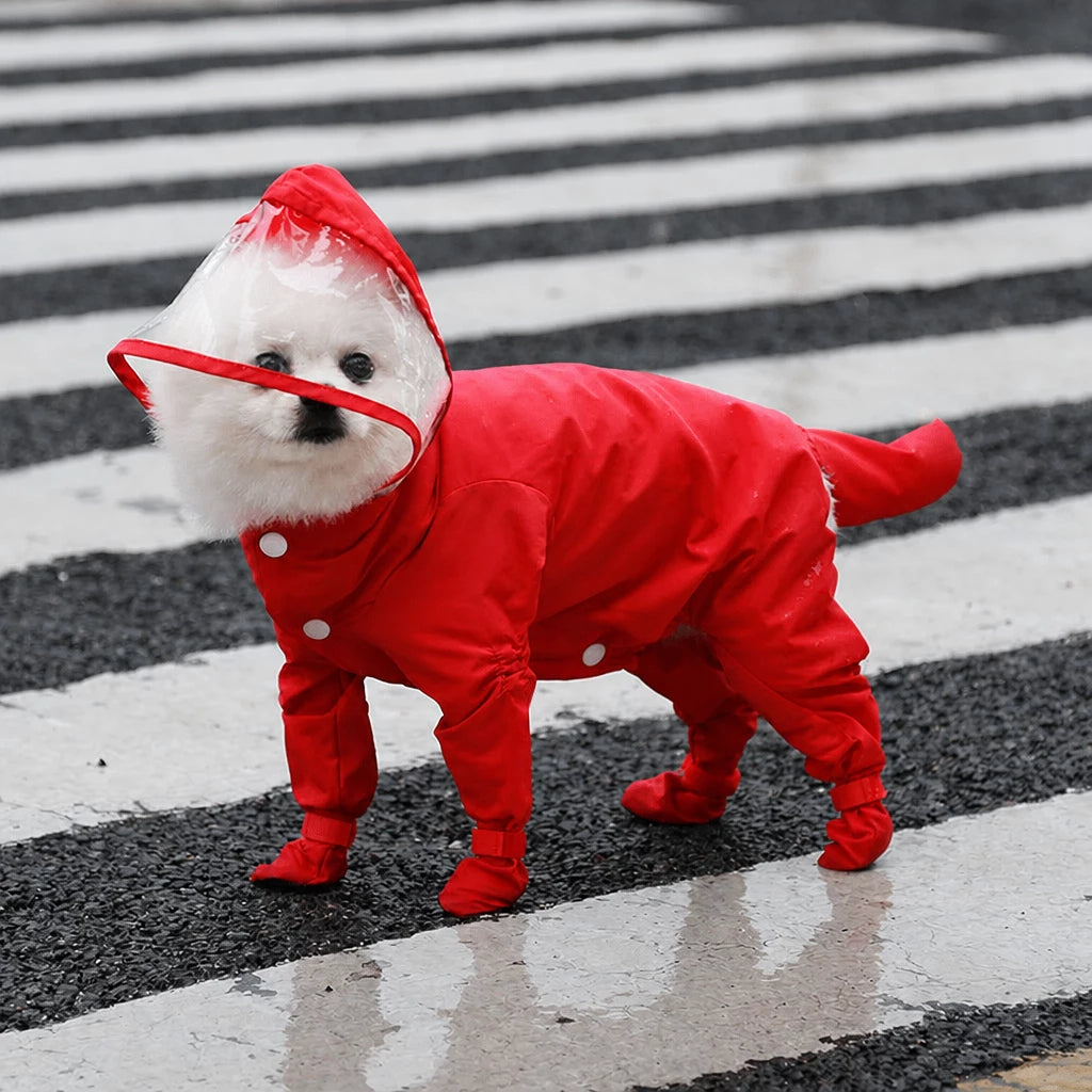Four-Leg Waterproof Raincoat for Small Dogs
