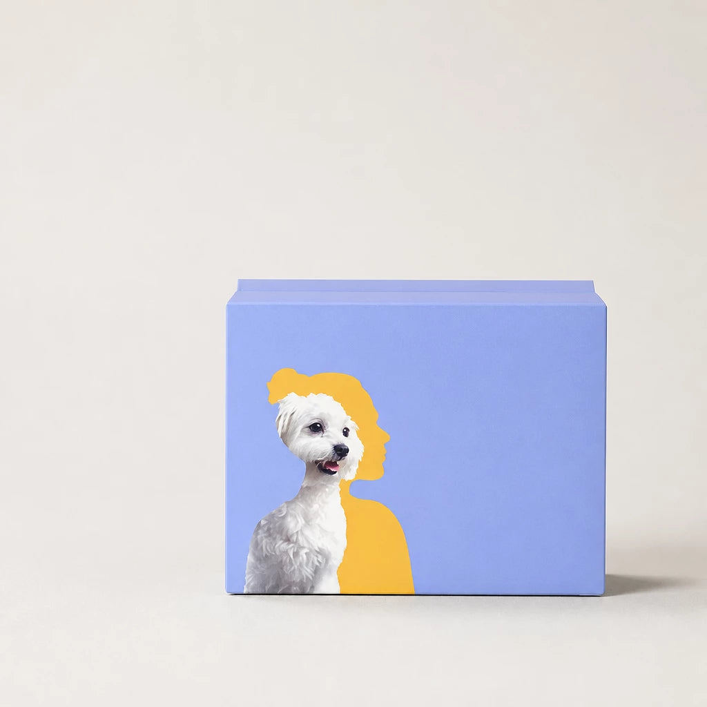Dog Diapers for Male & Female Dogs
