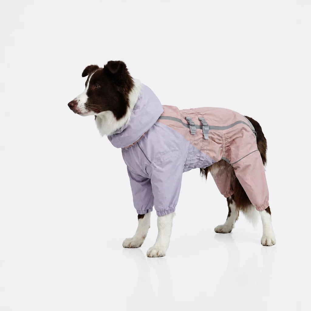 Four-Leg Dog Raincoat for Medium to Large Dogs