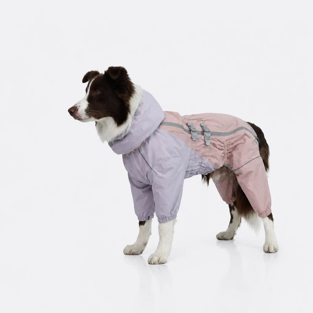 Four-Leg Dog Raincoat for Medium to Large Dogs