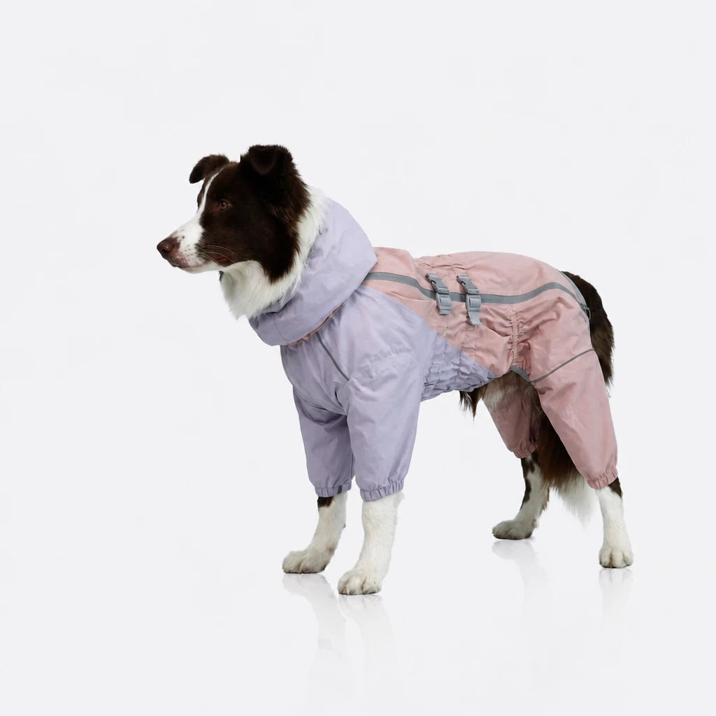 Four-Leg Dog Raincoat for Medium to Large Dogs