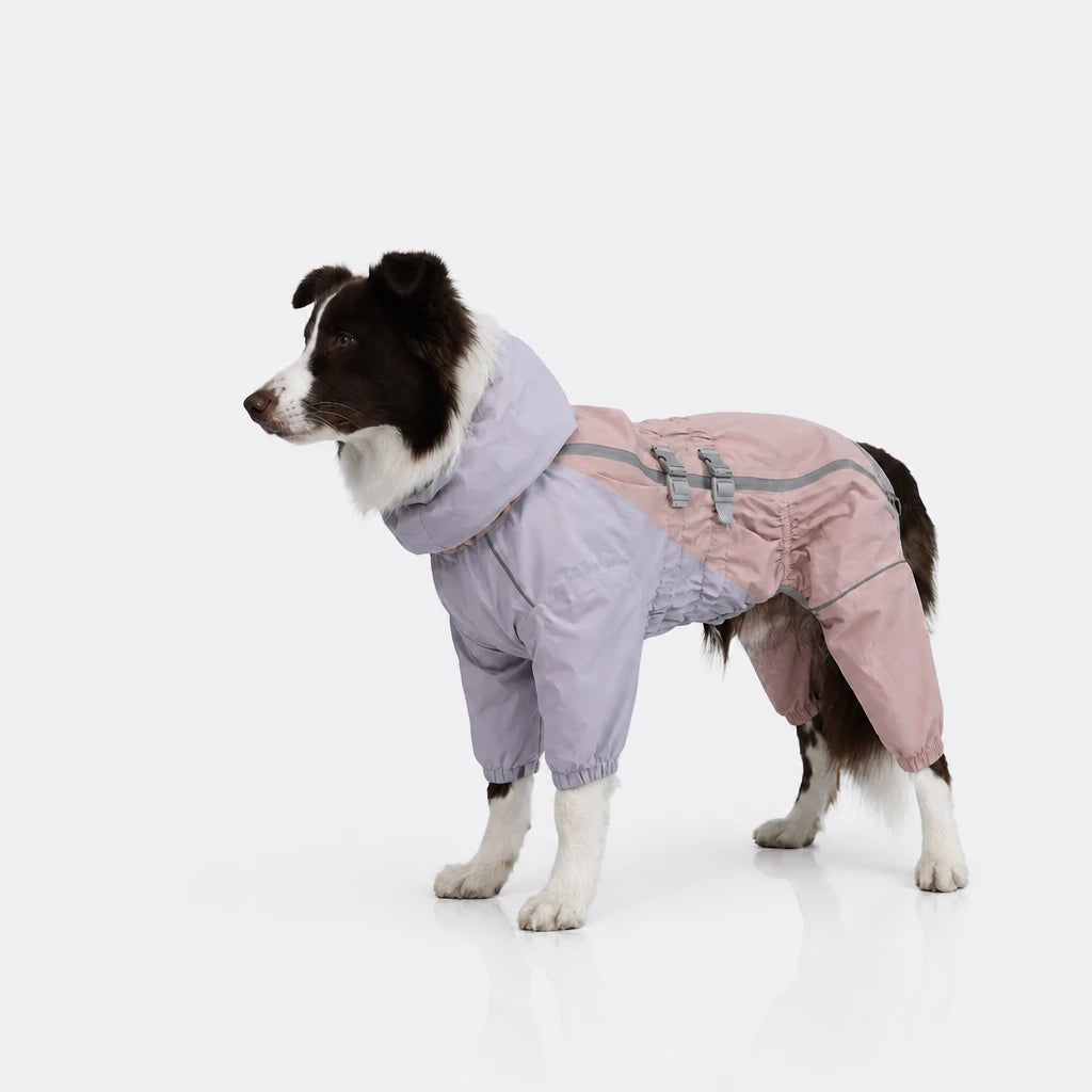 Four-Leg Dog Raincoat for Medium to Large Dogs