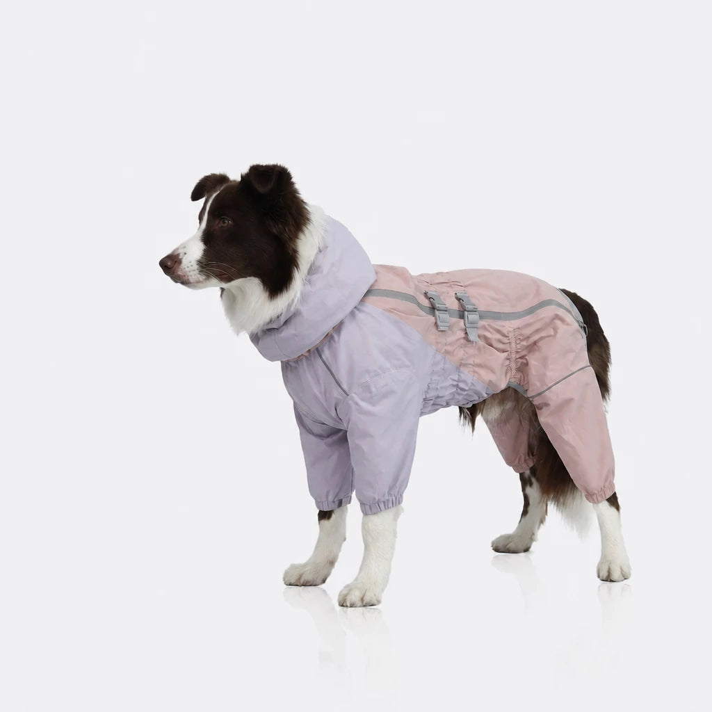 Four-Leg Dog Raincoat for Medium to Large Dogs