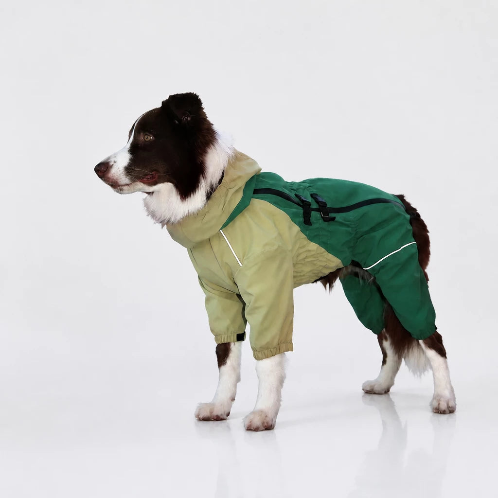 Four-Leg Dog Raincoat for Medium to Large Dogs
