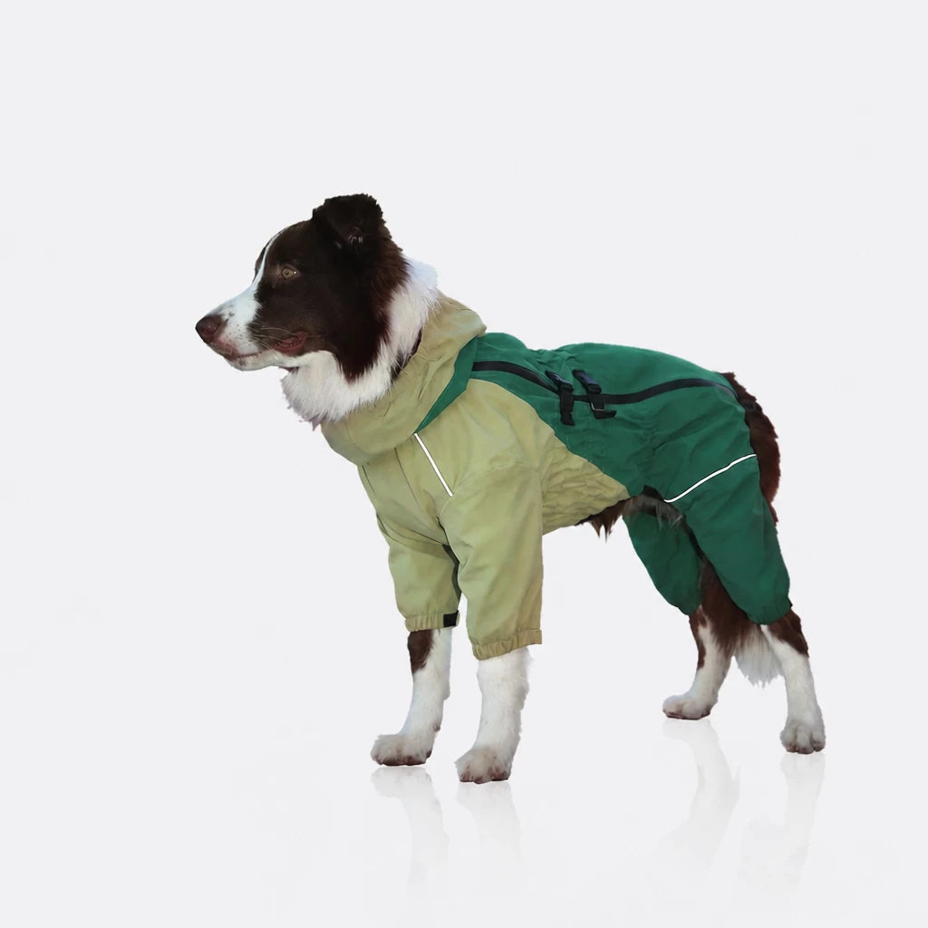 Four-Leg Dog Raincoat for Medium to Large Dogs