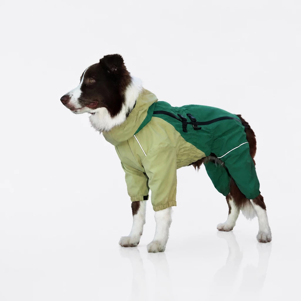 Four-Leg Dog Raincoat for Medium to Large Dogs