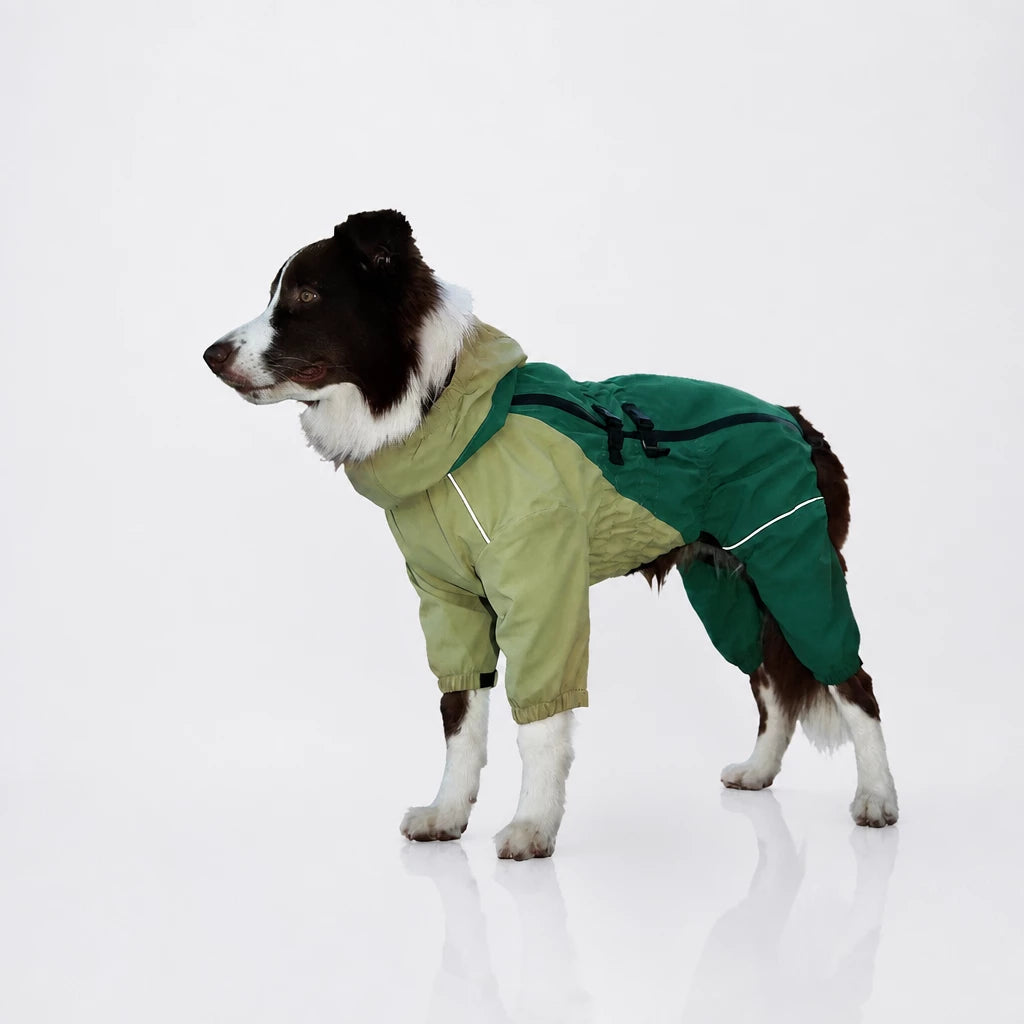 Four-Leg Dog Raincoat for Medium to Large Dogs