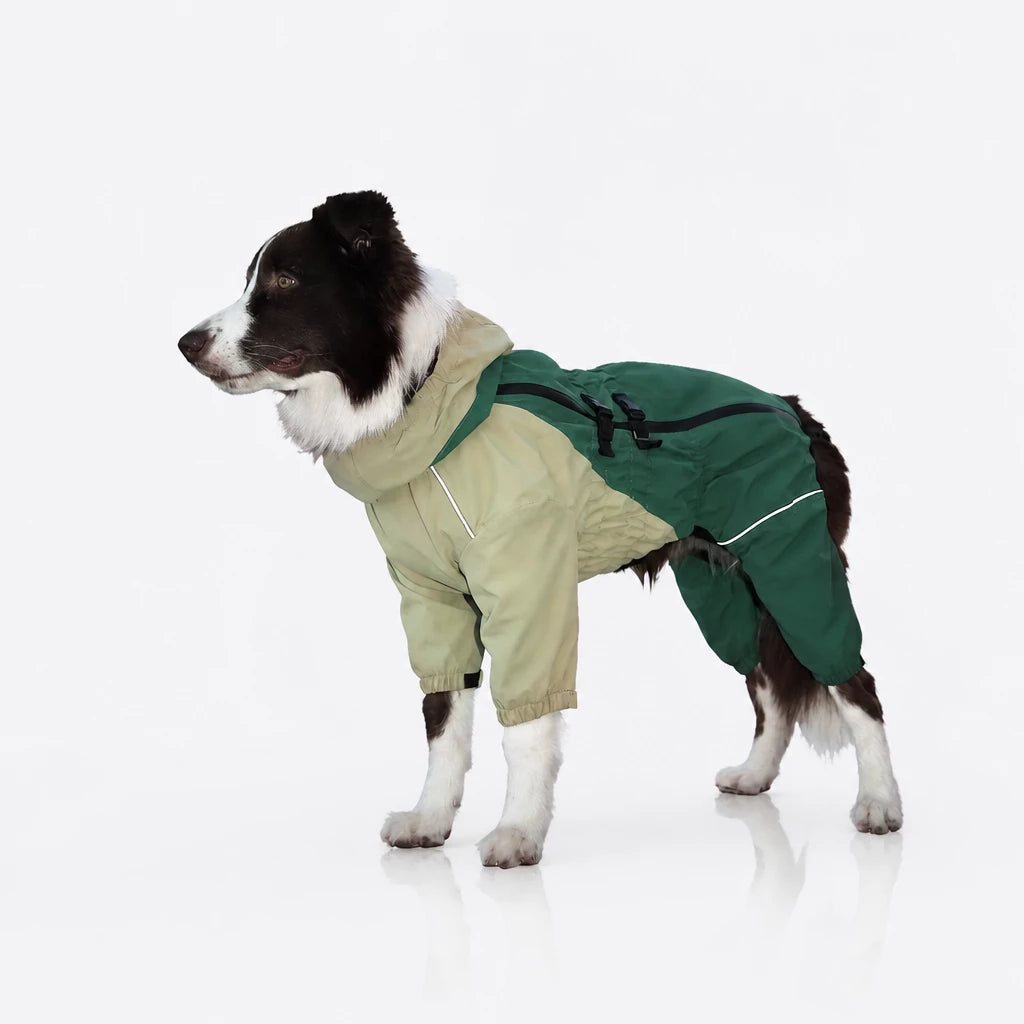 Four-Leg Dog Raincoat for Medium to Large Dogs