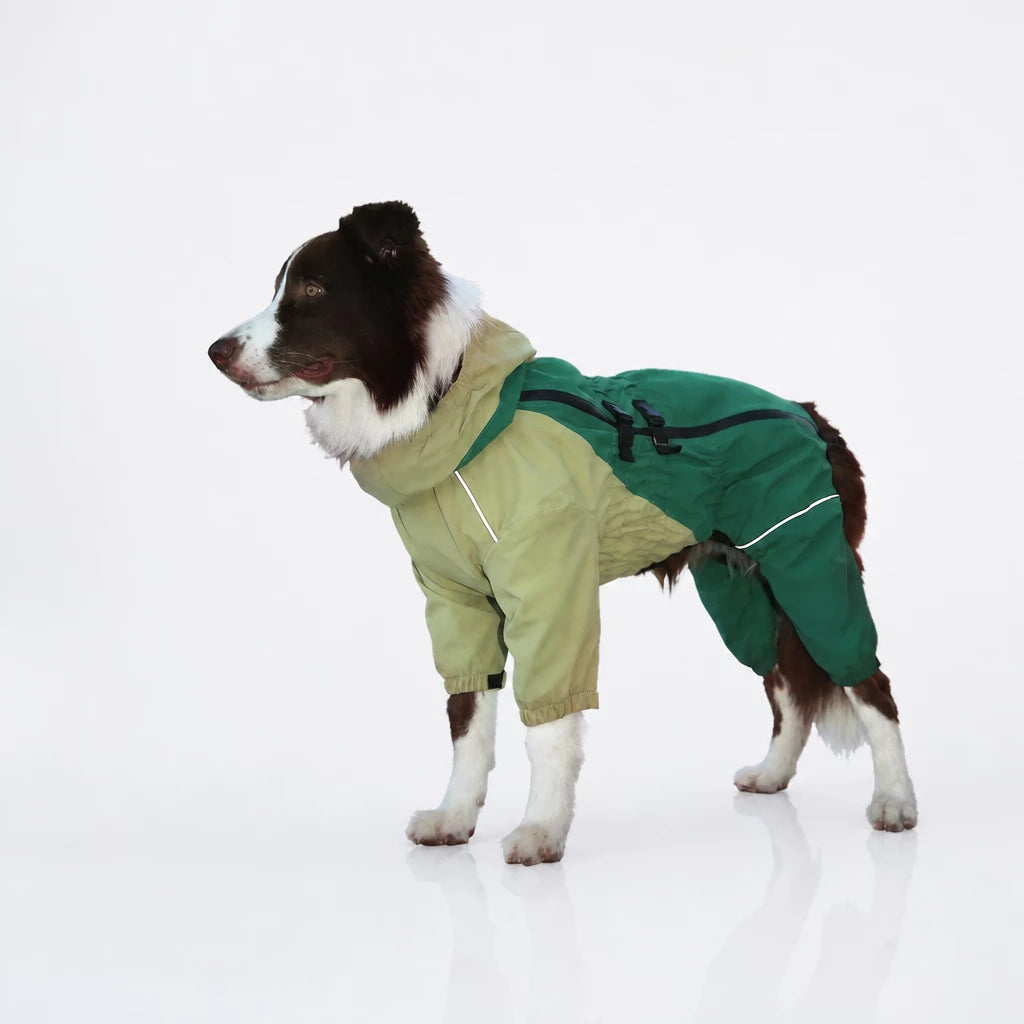 Four-Leg Dog Raincoat for Medium to Large Dogs