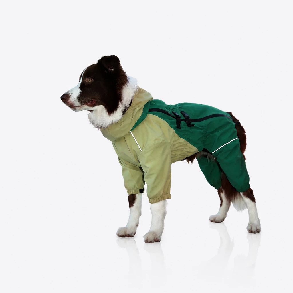 Four-Leg Dog Raincoat for Medium to Large Dogs