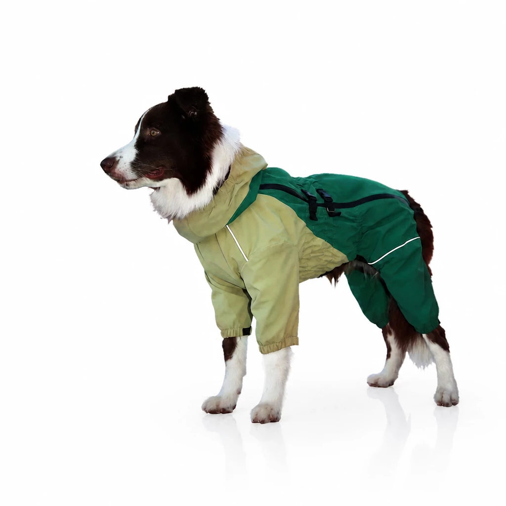 Four-Leg Dog Raincoat for Medium to Large Dogs
