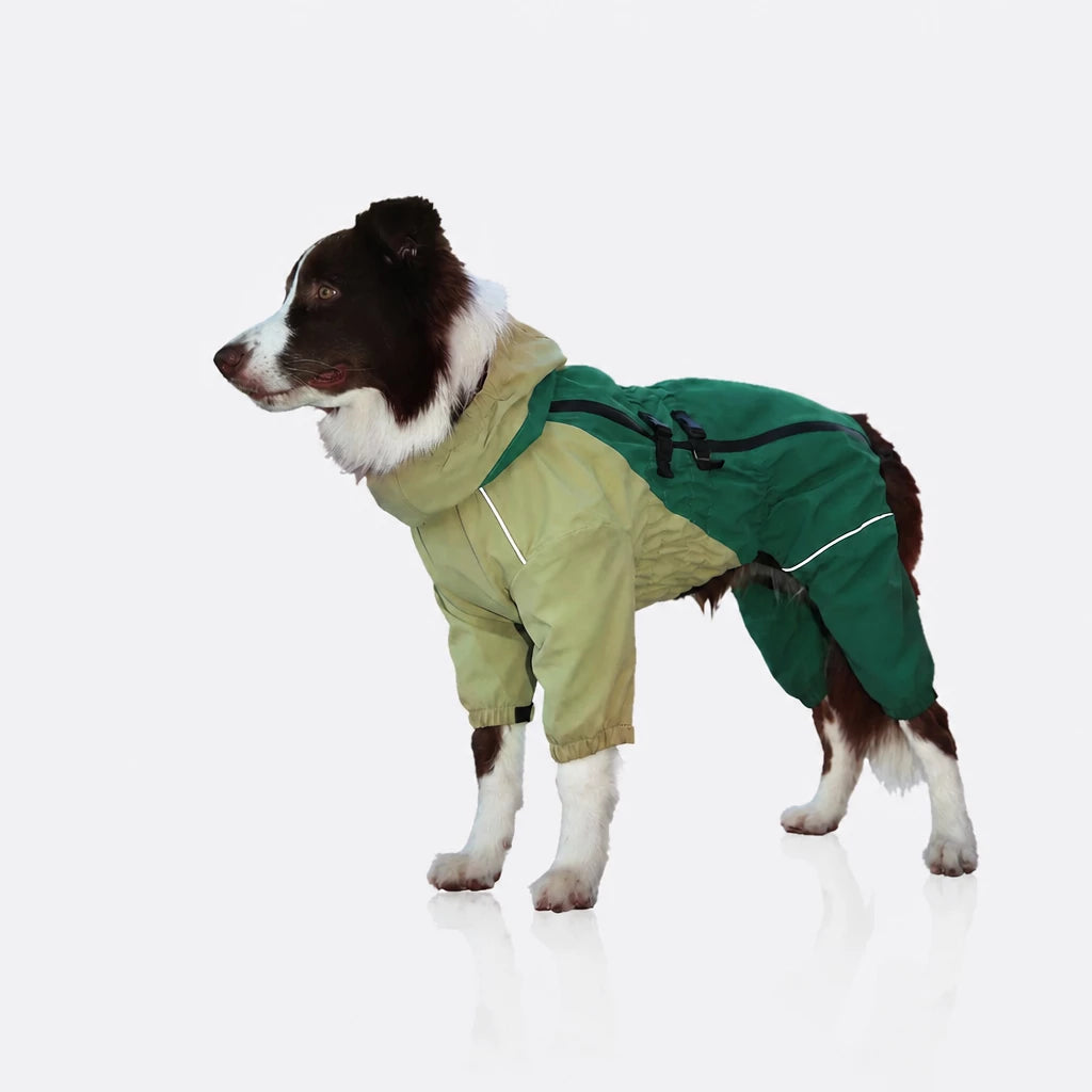 Four-Leg Dog Raincoat for Medium to Large Dogs