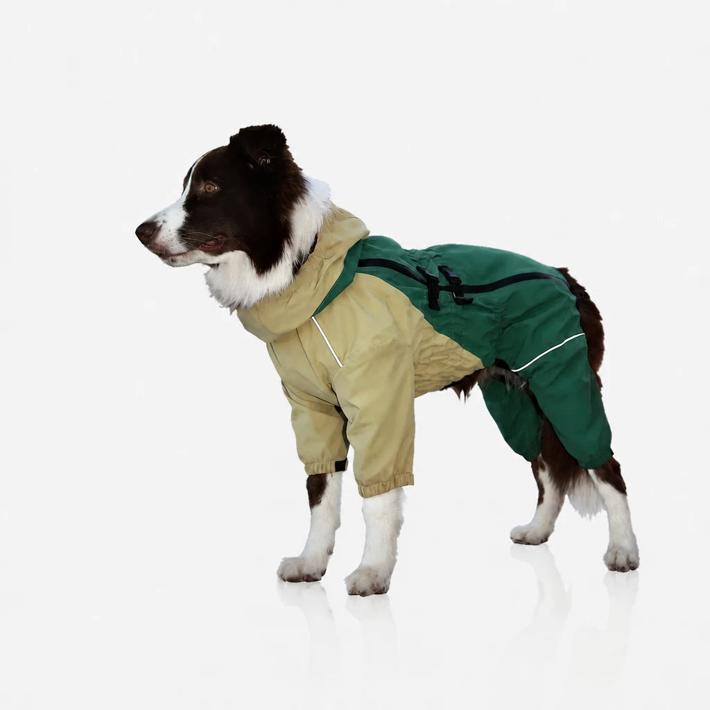 Four-Leg Dog Raincoat for Medium to Large Dogs