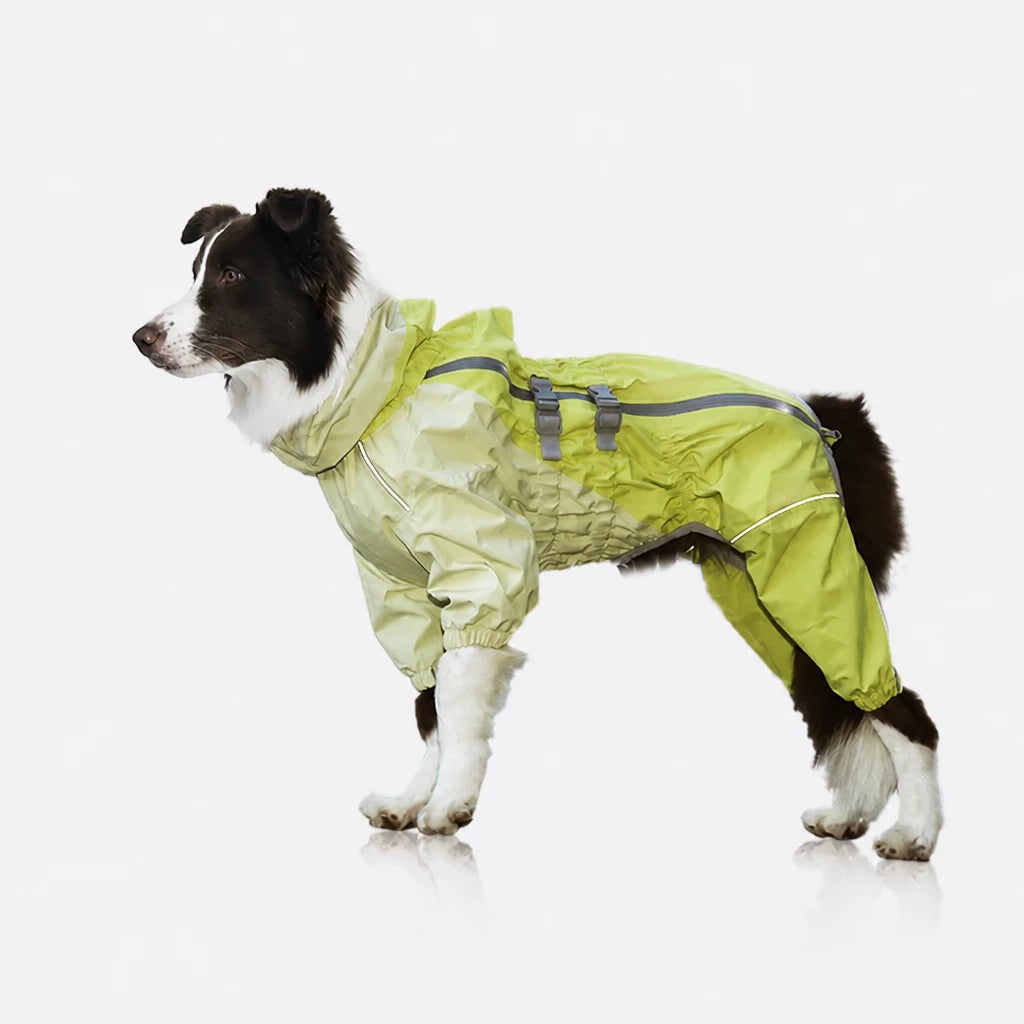 Four-Leg Dog Raincoat for Medium to Large Dogs