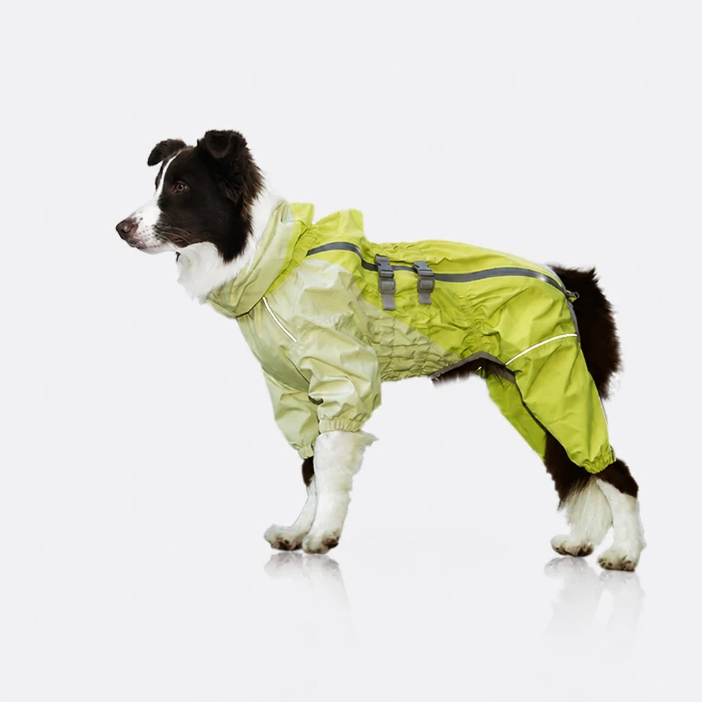 Four-Leg Dog Raincoat for Medium to Large Dogs