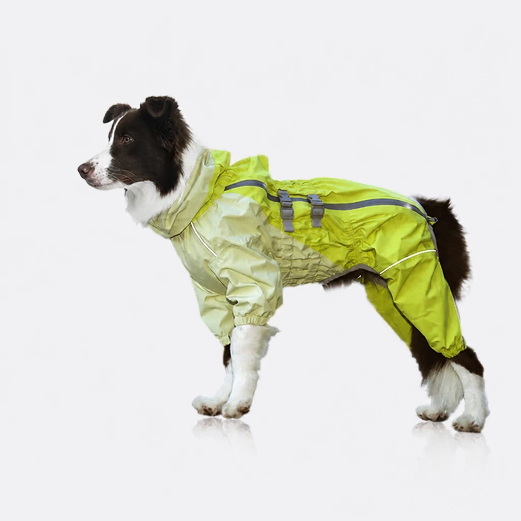 Four-Leg Dog Raincoat for Medium to Large Dogs
