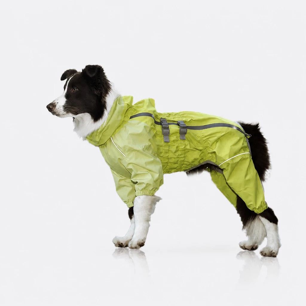 Four-Leg Dog Raincoat for Medium to Large Dogs