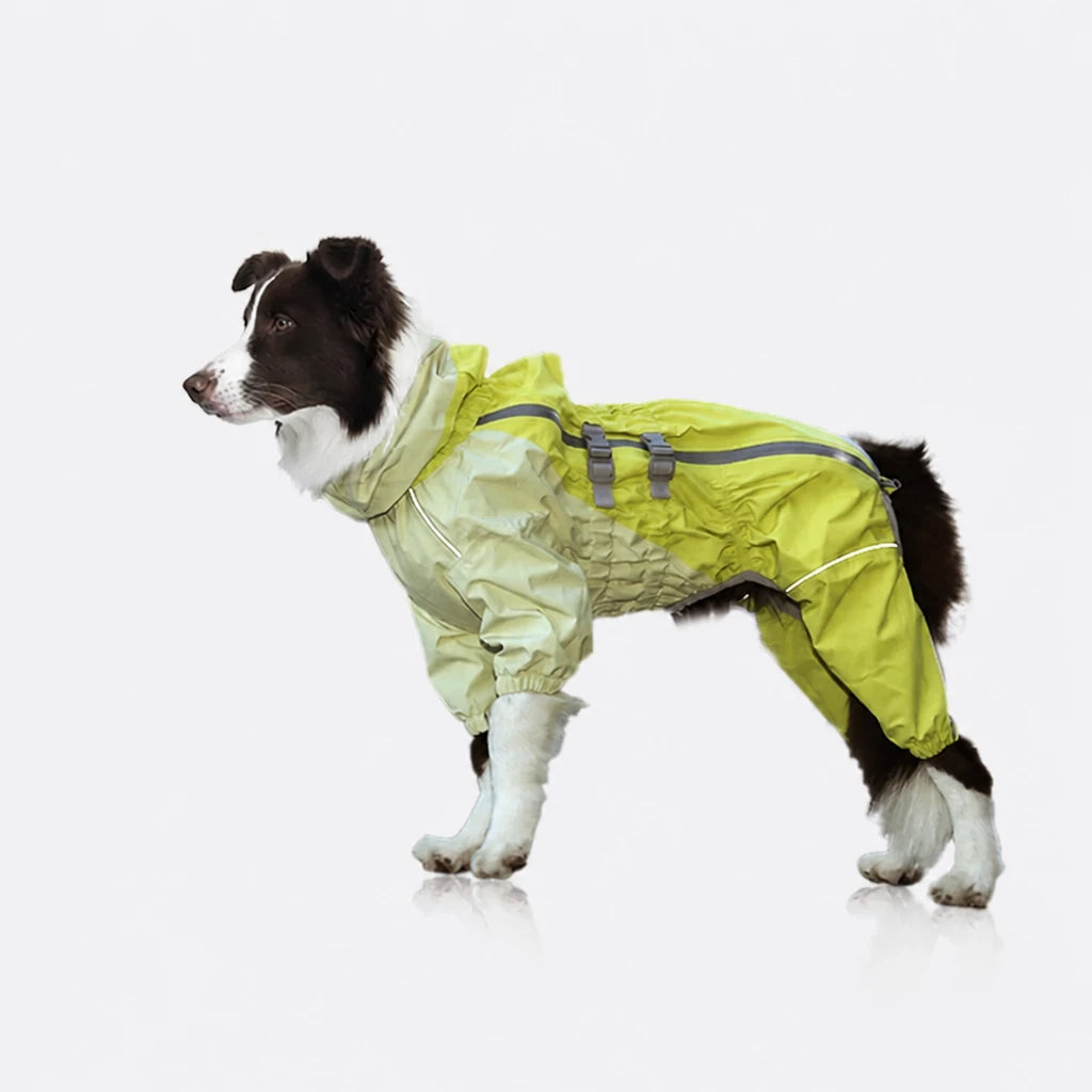 Four-Leg Dog Raincoat for Medium to Large Dogs