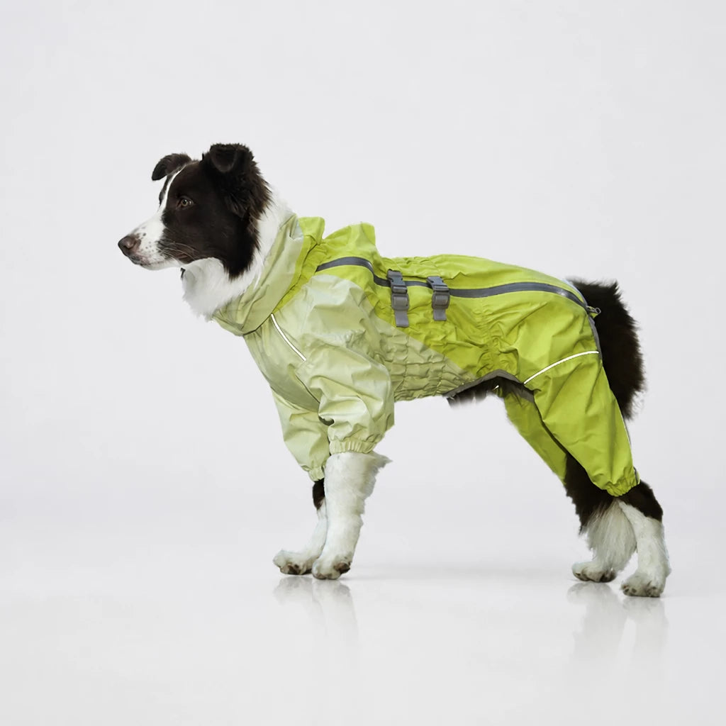 Four-Leg Dog Raincoat for Medium to Large Dogs