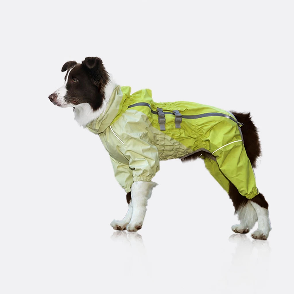 Four-Leg Dog Raincoat for Medium to Large Dogs