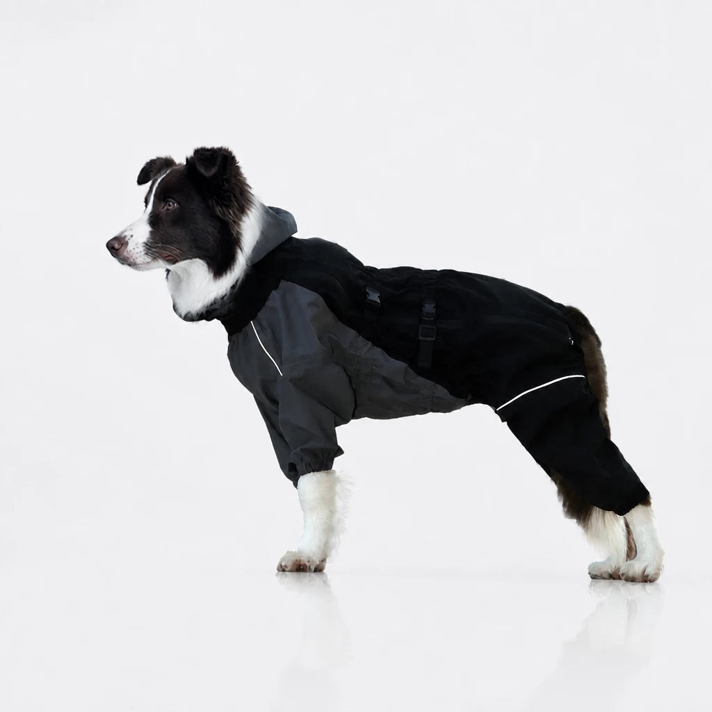 Four-Leg Dog Raincoat for Medium to Large Dogs