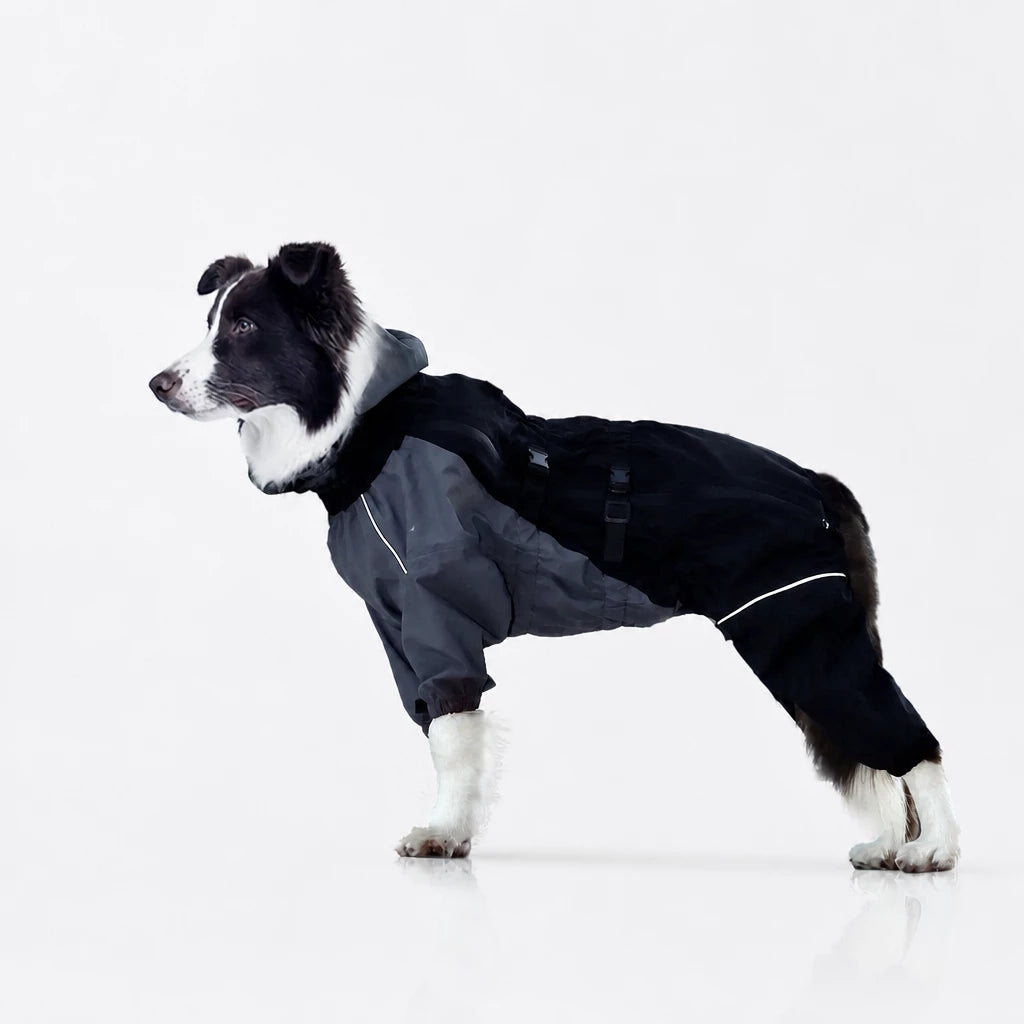 Four-Leg Dog Raincoat for Medium to Large Dogs