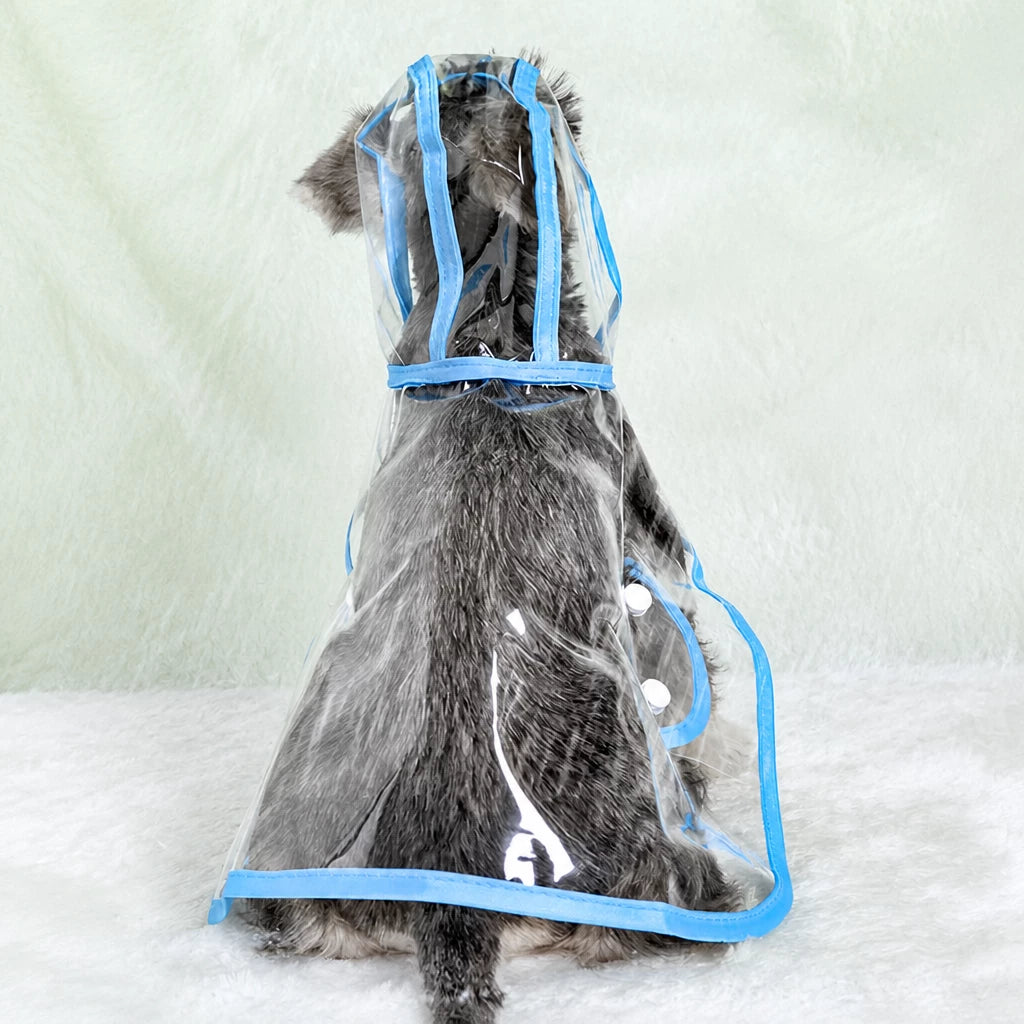 Transparent EVA Dog Raincoat with Hood