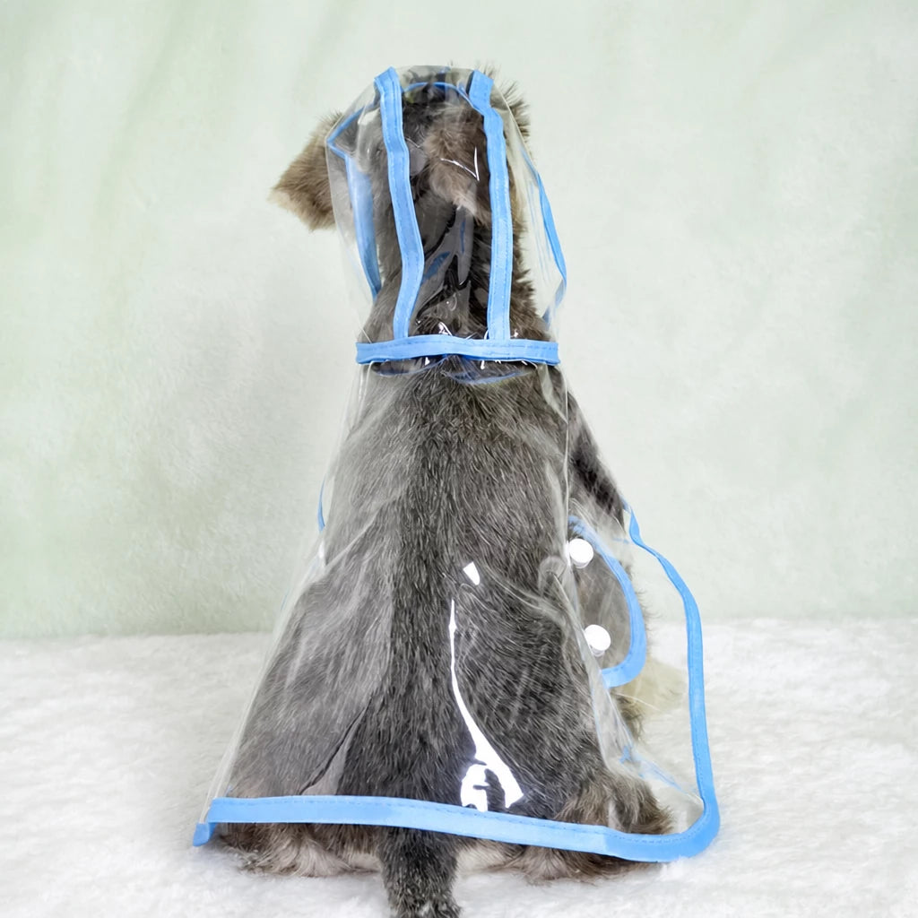 Transparent EVA Dog Raincoat with Hood