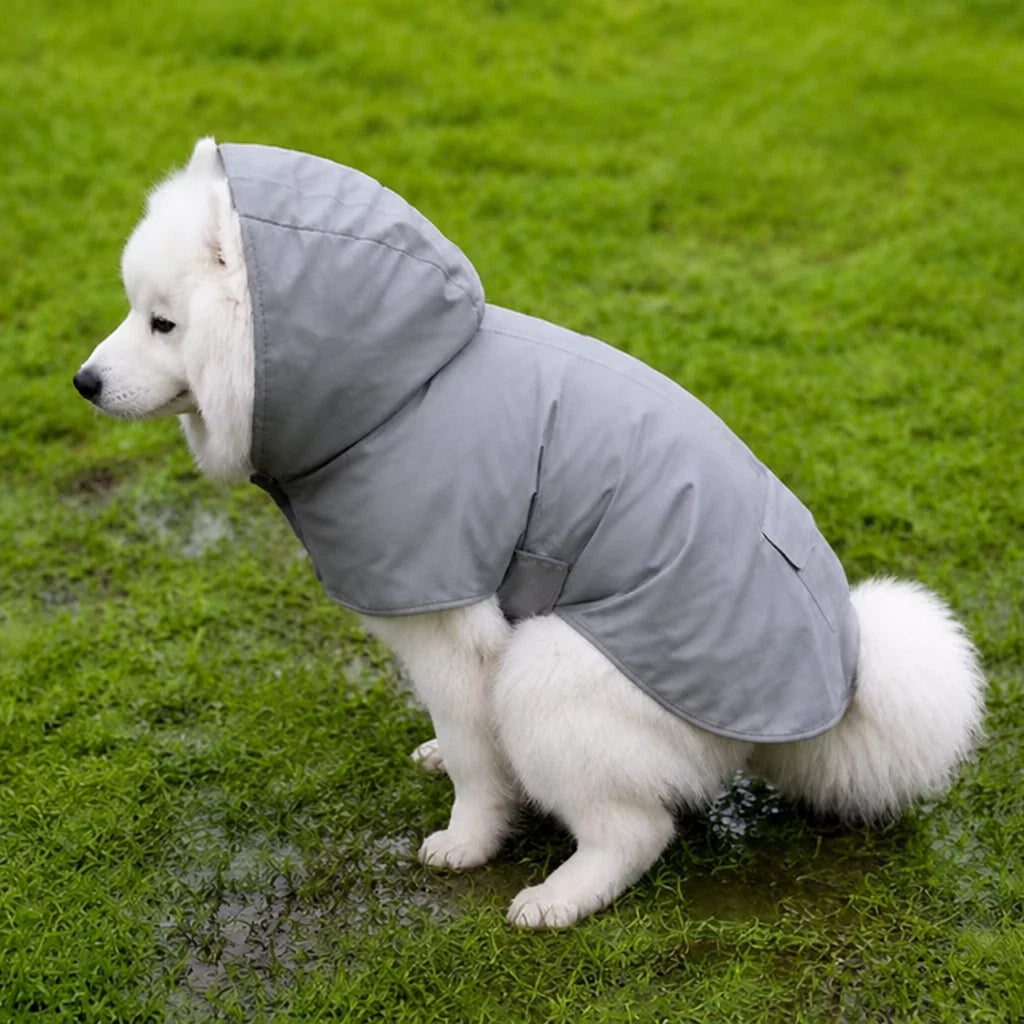 Dog Raincoat for Rainy-Day Walks