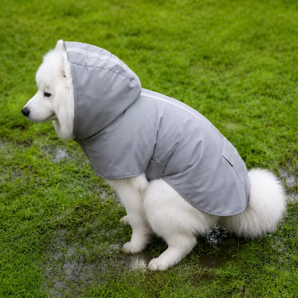 Dog Raincoat for Rainy-Day Walks