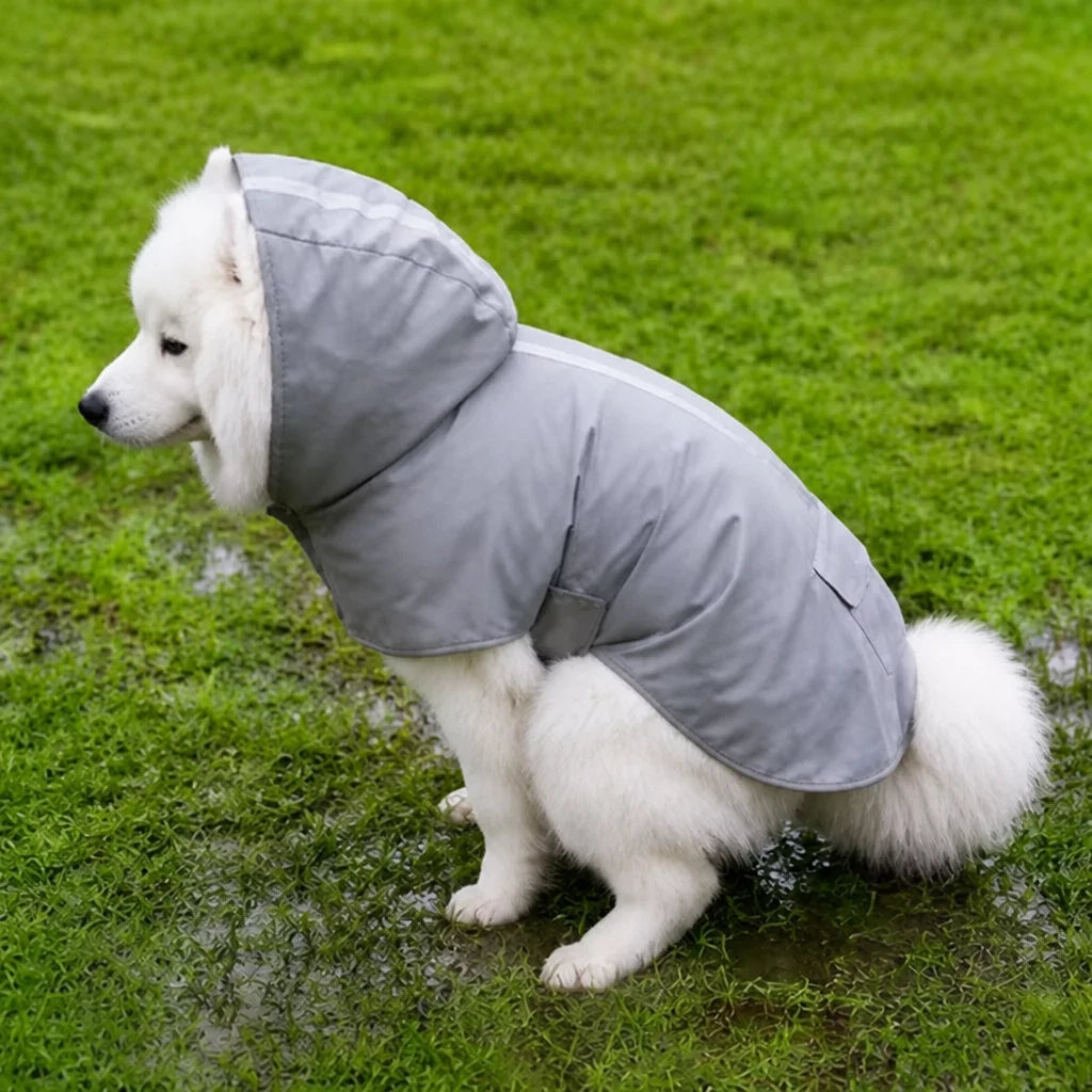 Dog Raincoat for Rainy-Day Walks
