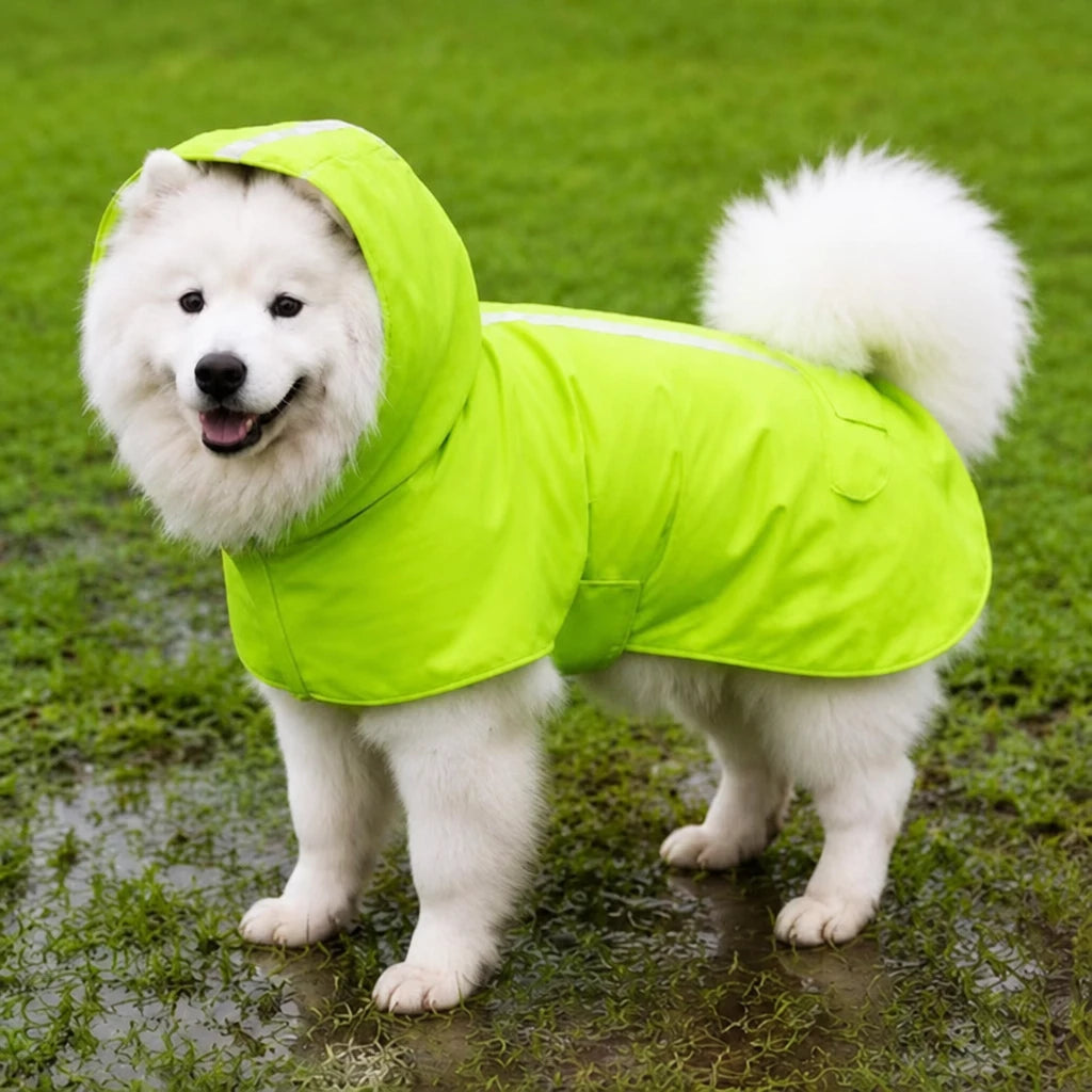 Dog Raincoat for Rainy-Day Walks