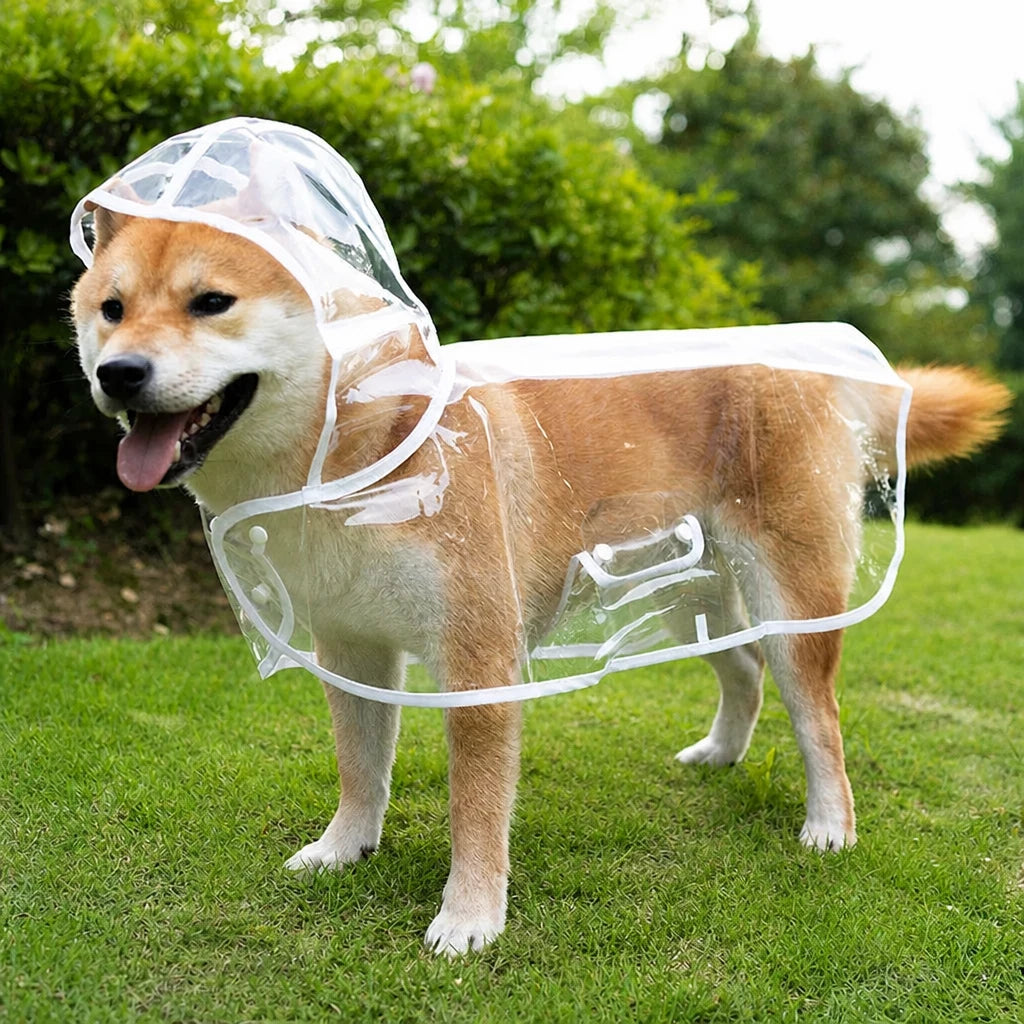 Transparent EVA Raincoat for Dogs