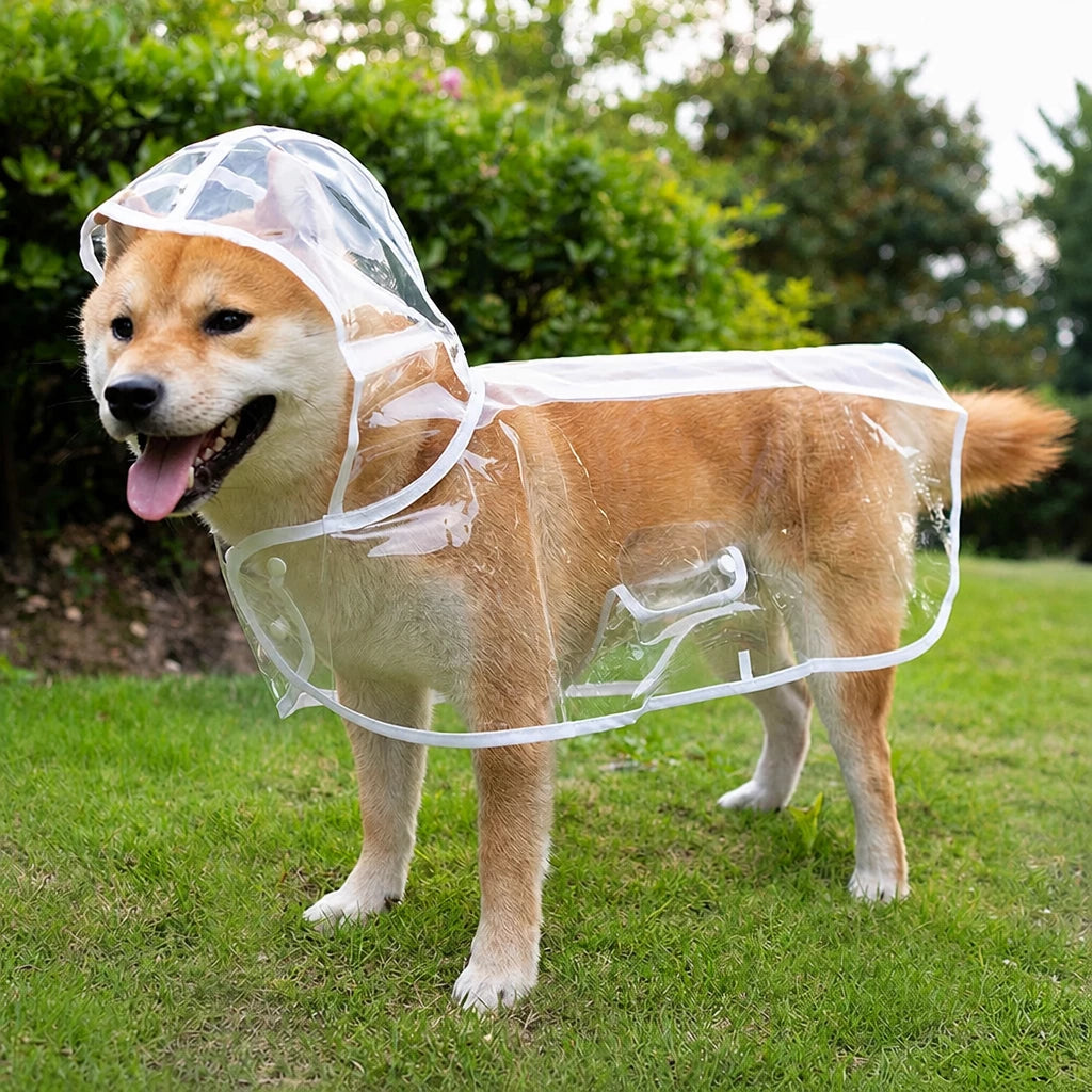 Transparent EVA Raincoat for Dogs
