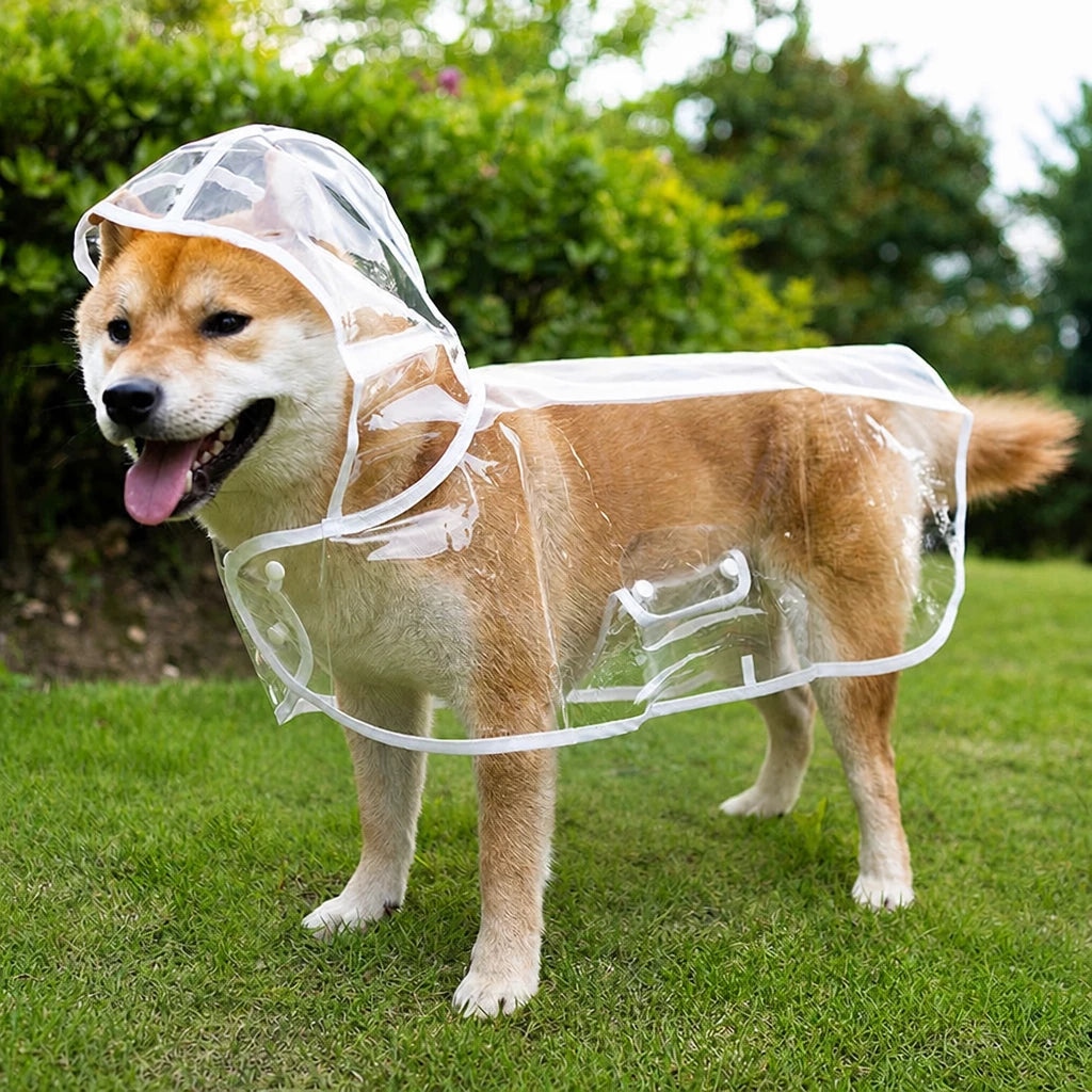 Transparent EVA Raincoat for Dogs